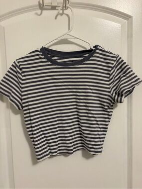 Hollister Striped Navy and White Crop Tee - Women's Casual Top